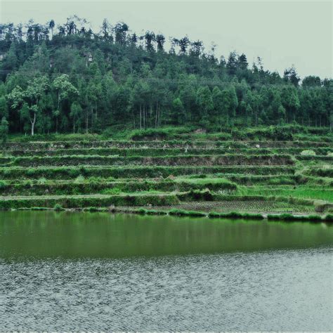ucm iloilo|Wencheng County .